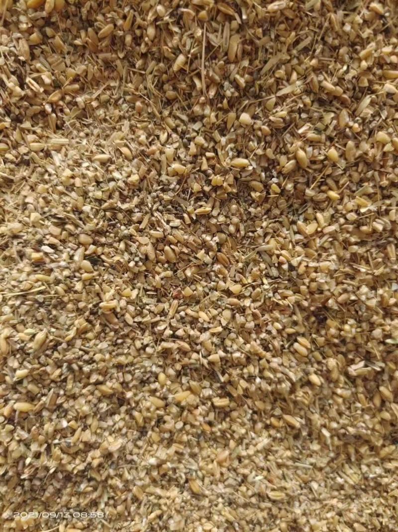 7个粮红糠碎玉米，碎小麦