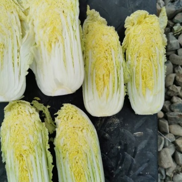 蔬菜