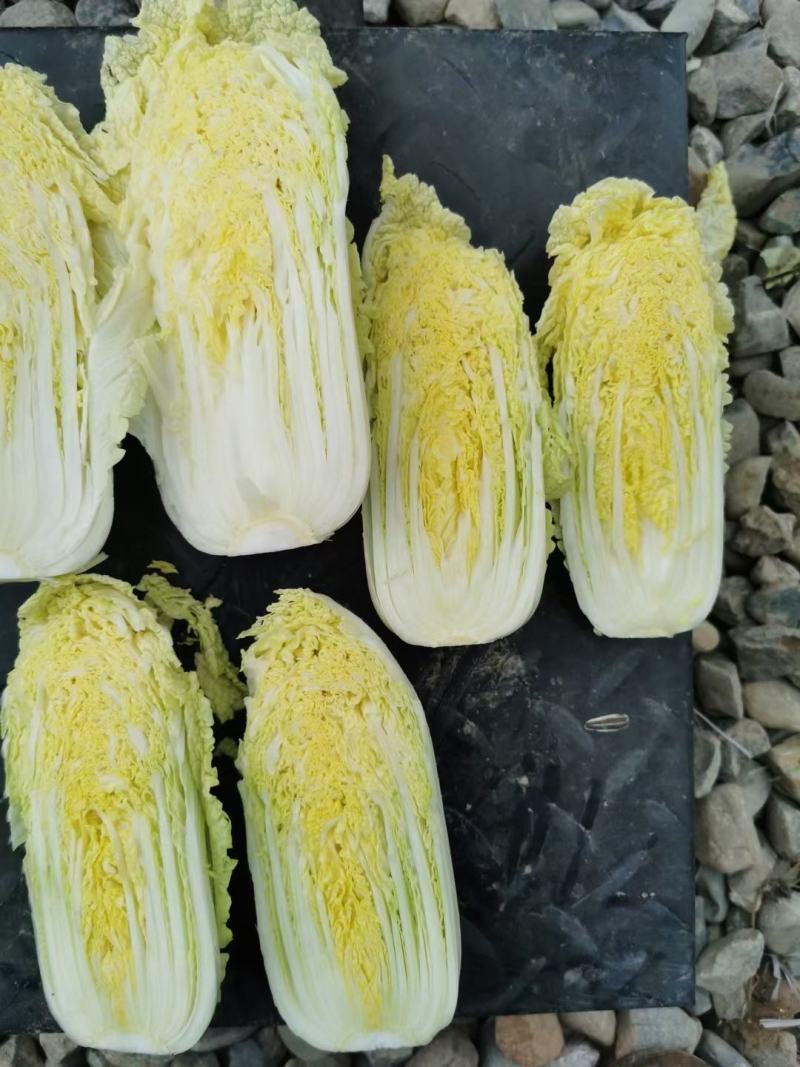 蔬菜