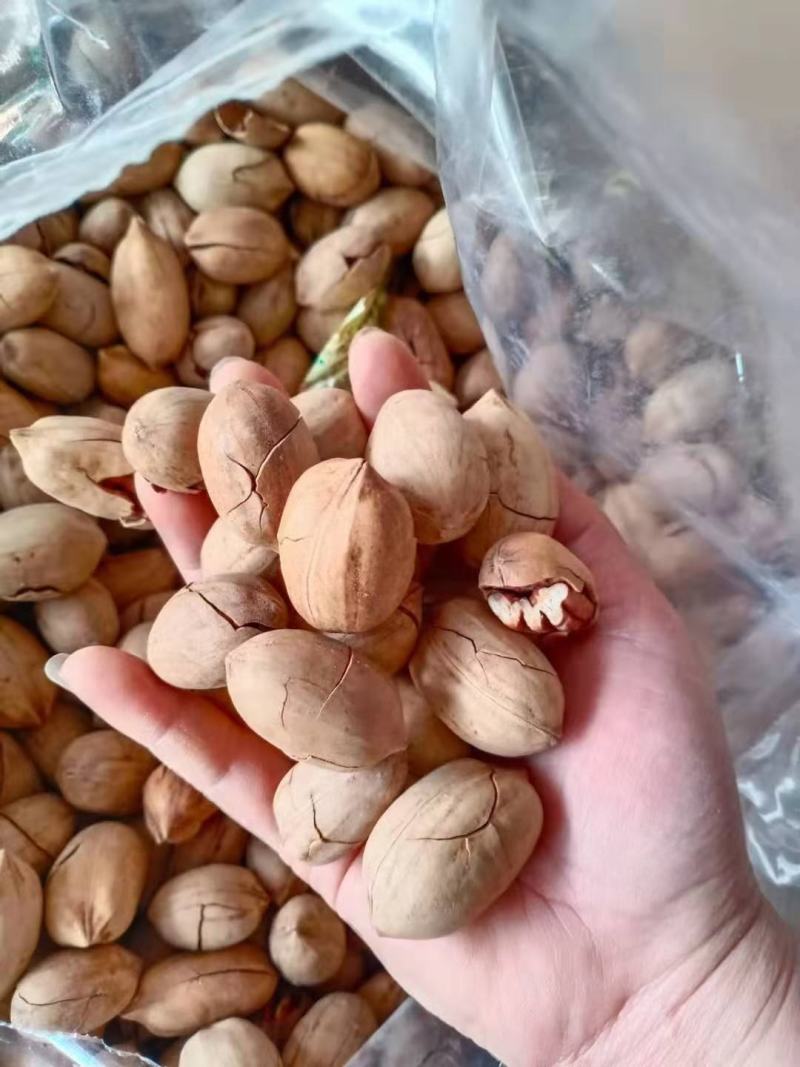 开心果，巴旦木，碧根果，松子，夏威夷果，各种干货都现货、