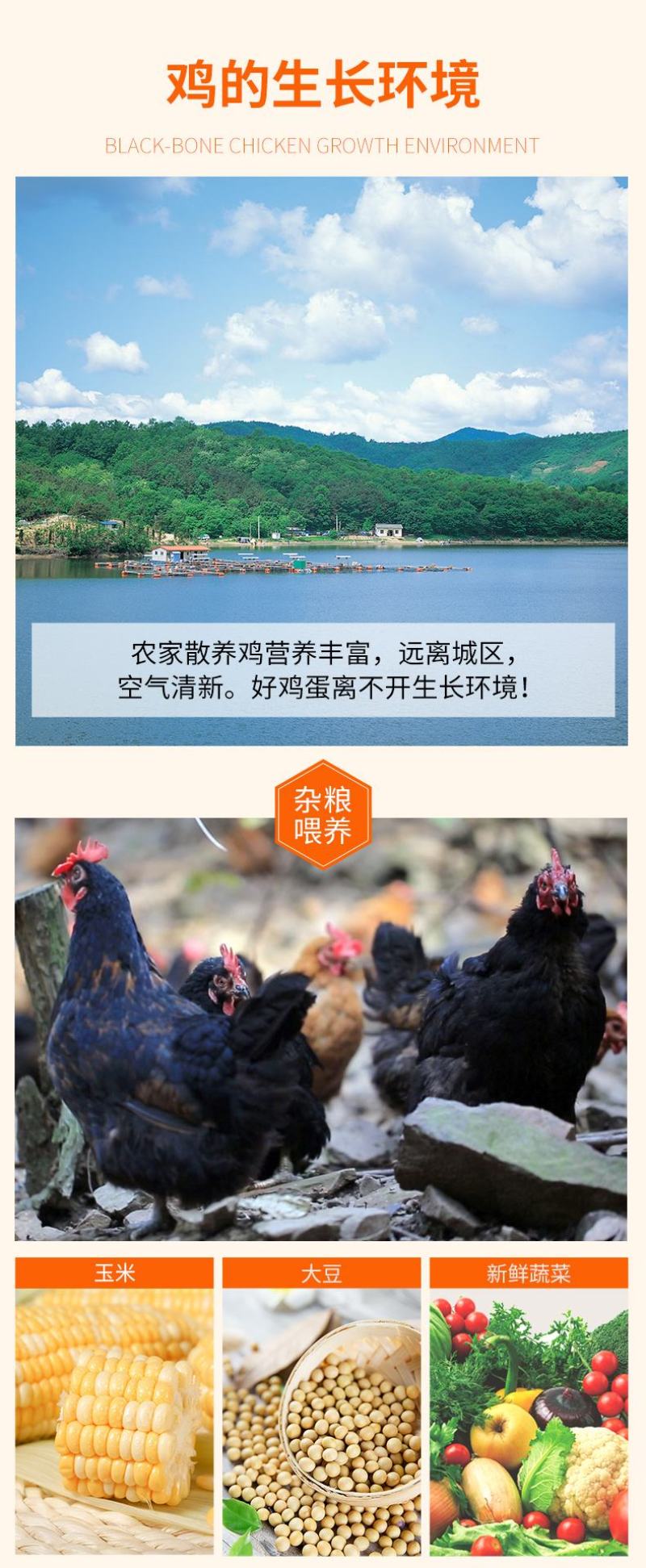 绿壳鸡蛋40个/箱鸡场直销现摘现发包邮。