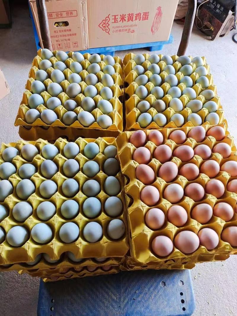 绿壳鸡蛋40个/箱鸡场直销现摘现发包邮。