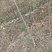精选嫁接碧根果苗核桃苗山核桃苗马汉菠泥64号10号