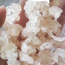 精品雪燕