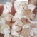 精品雪燕