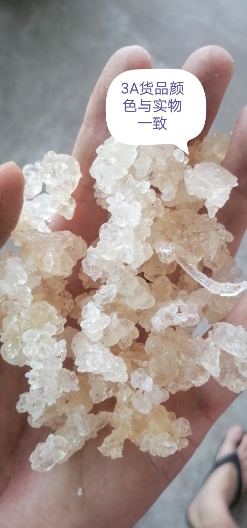 精品雪燕