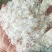 精品雪燕