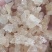 精品雪燕