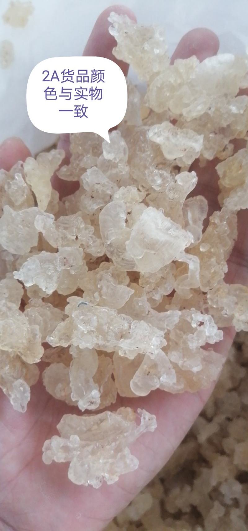 精品雪燕