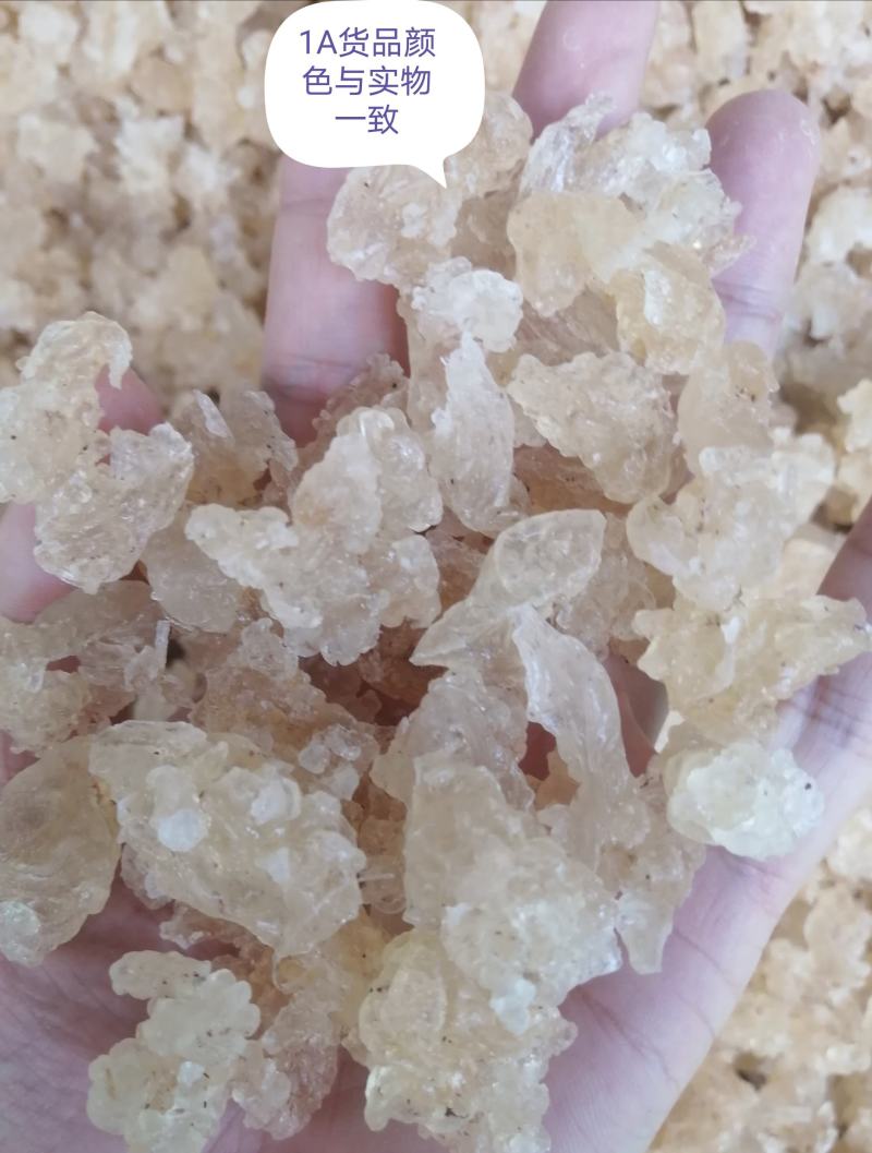 精品雪燕