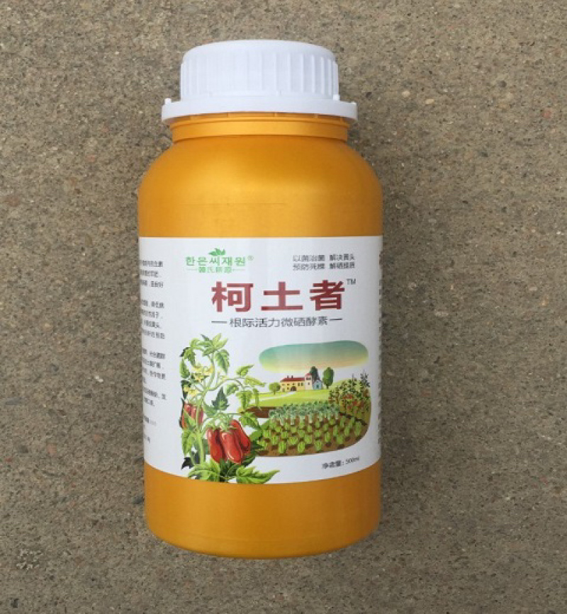 黄头解决者布拉迪酵母菌柯土者解决作物黄头