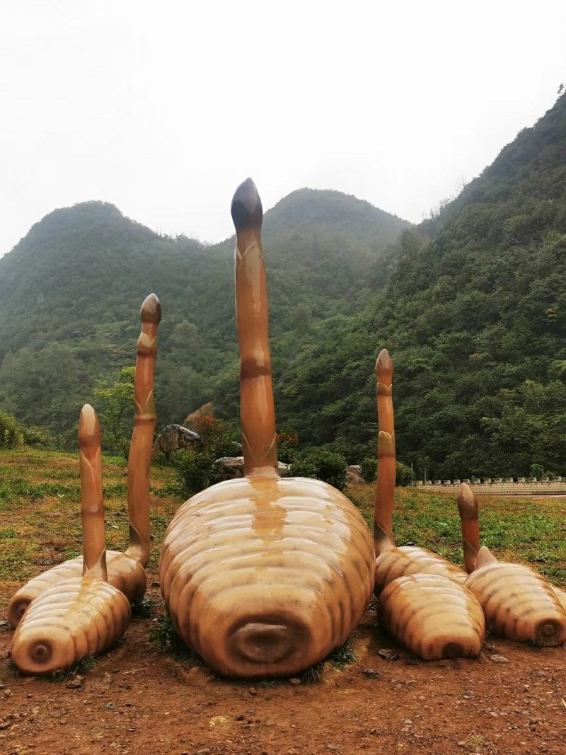 世界天麻原产地小草坝干天麻，无硫，本色，本味，***。