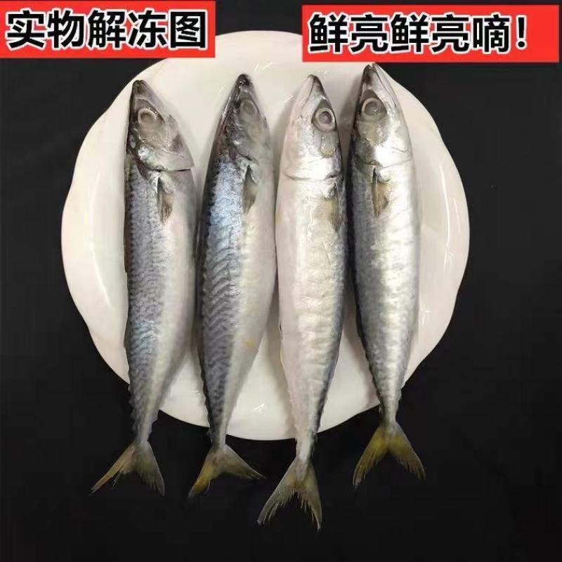 鲐鲅鱼青占鱼鲐鱼青花鱼鲅鱼秋刀鱼新鲜马鲛鱼海鲜水产食堂快