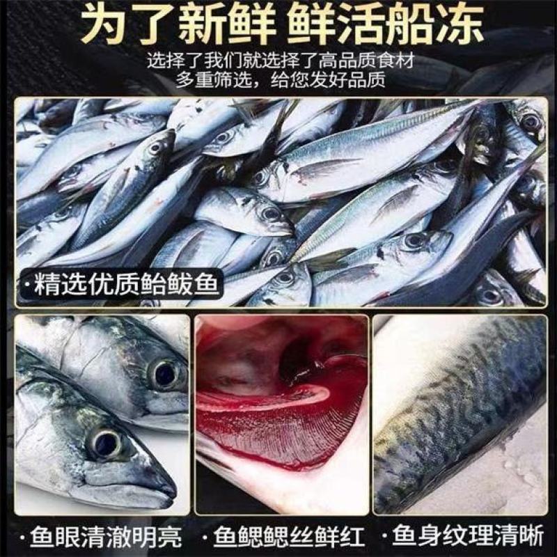 鲐鲅鱼青占鱼鲐鱼青花鱼鲅鱼秋刀鱼新鲜马鲛鱼海鲜水产食堂快