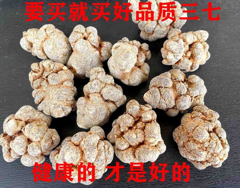云南文山农家自然晒三七可以视频打粉一手货源品质保证
