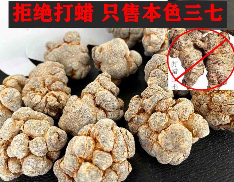 云南文山农家自然晒三七可以视频打粉一手货源品质保证