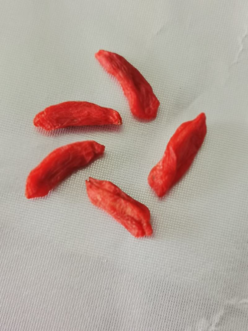 枸杞农家枸杞特级优质头茬大颗粒亳州直发