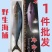 大鱼特大海鱼深海鱼黄金鲅鱼