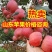 山东红富士苹果产地直销，全国发货，品质保证，详情咨询电话