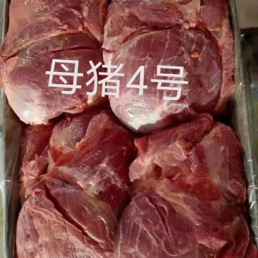 母猪四号肉4号精肉大块精肉母猪后腿精肉后腿肉大块精肉后腿