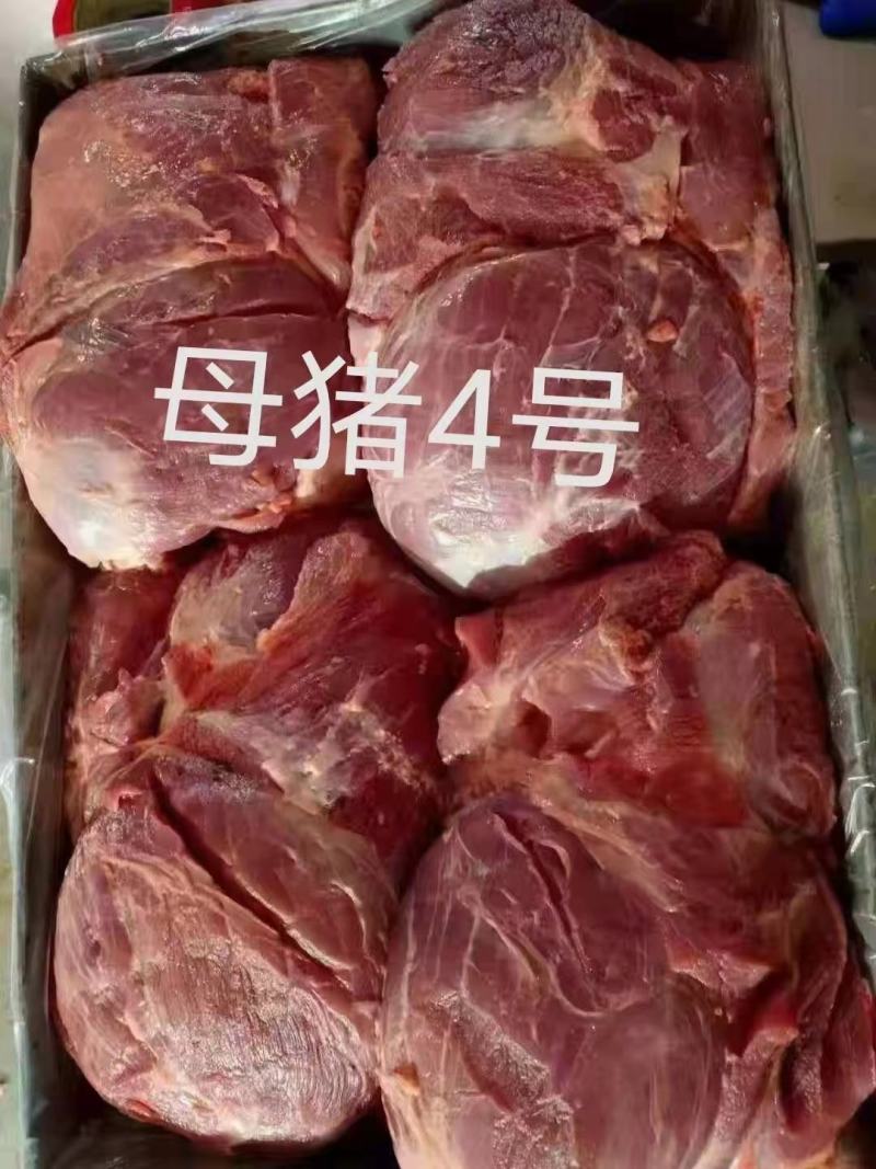 母猪四号肉4号精肉大块精肉母猪后腿精肉后腿肉大块精肉后腿