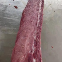 母猪三号肉里脊肉腰窝精肉里脊肉精修三号里脊去筋膜里脊