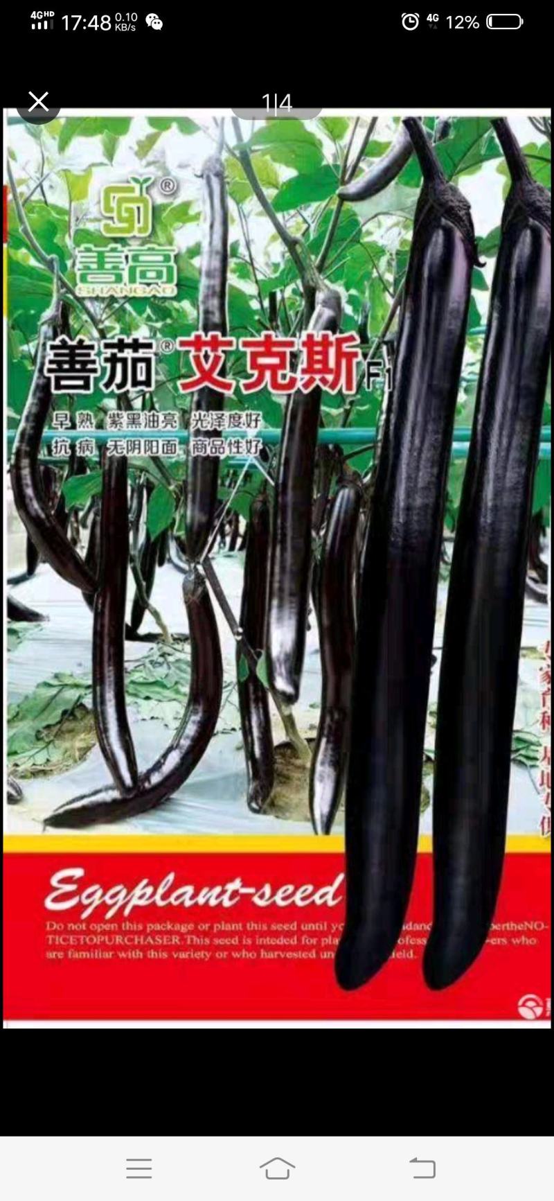 艾克斯茄种，专家育种，早熟，一代杂交，抗病能力强，