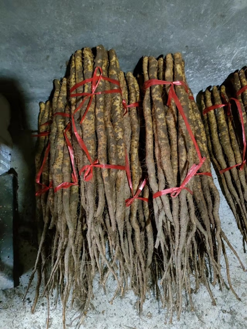 温县铁棍山药70公分，10斤装，礼品盒，找我拿货有礼品