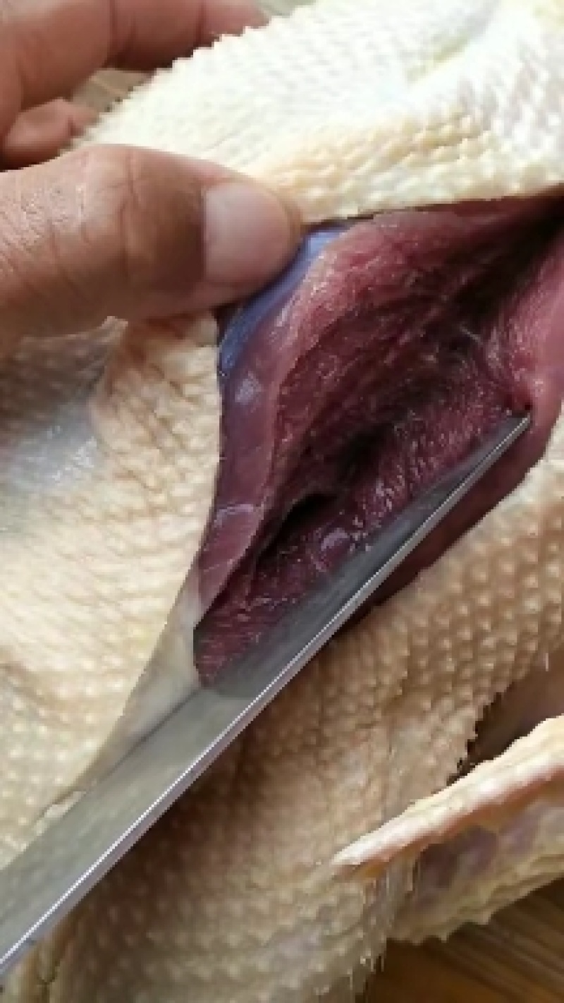 散养生态环境飞鸭，肉质鲜美