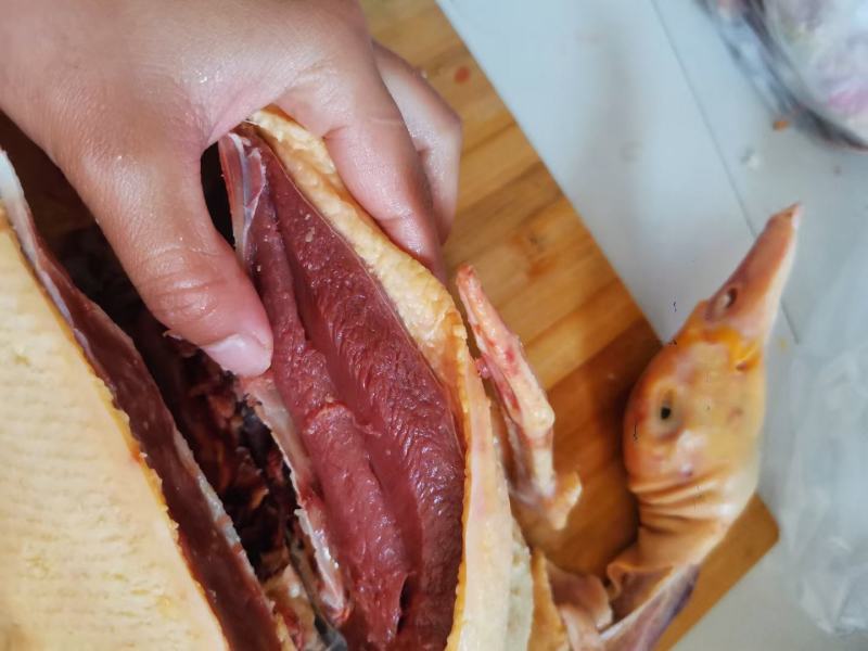 散养生态环境飞鸭，肉质鲜美