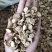 【文斌药业】黄芪圆片内蒙黄芪地道药材