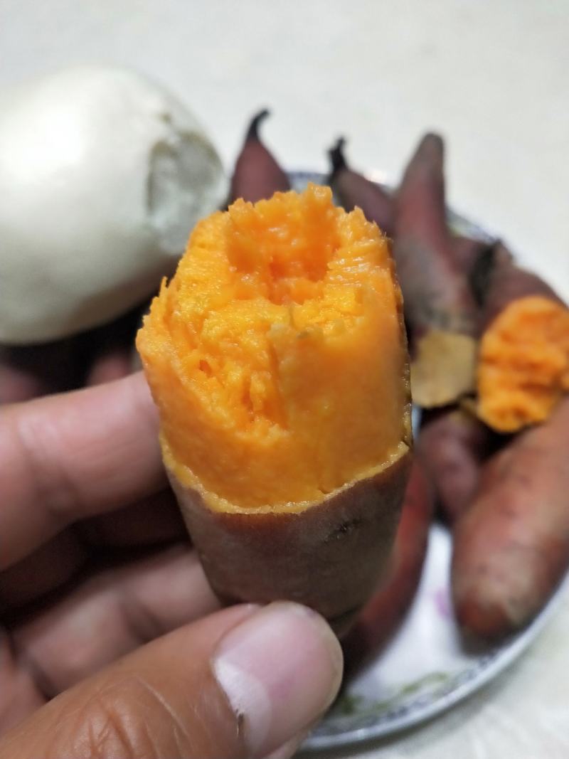 红薯