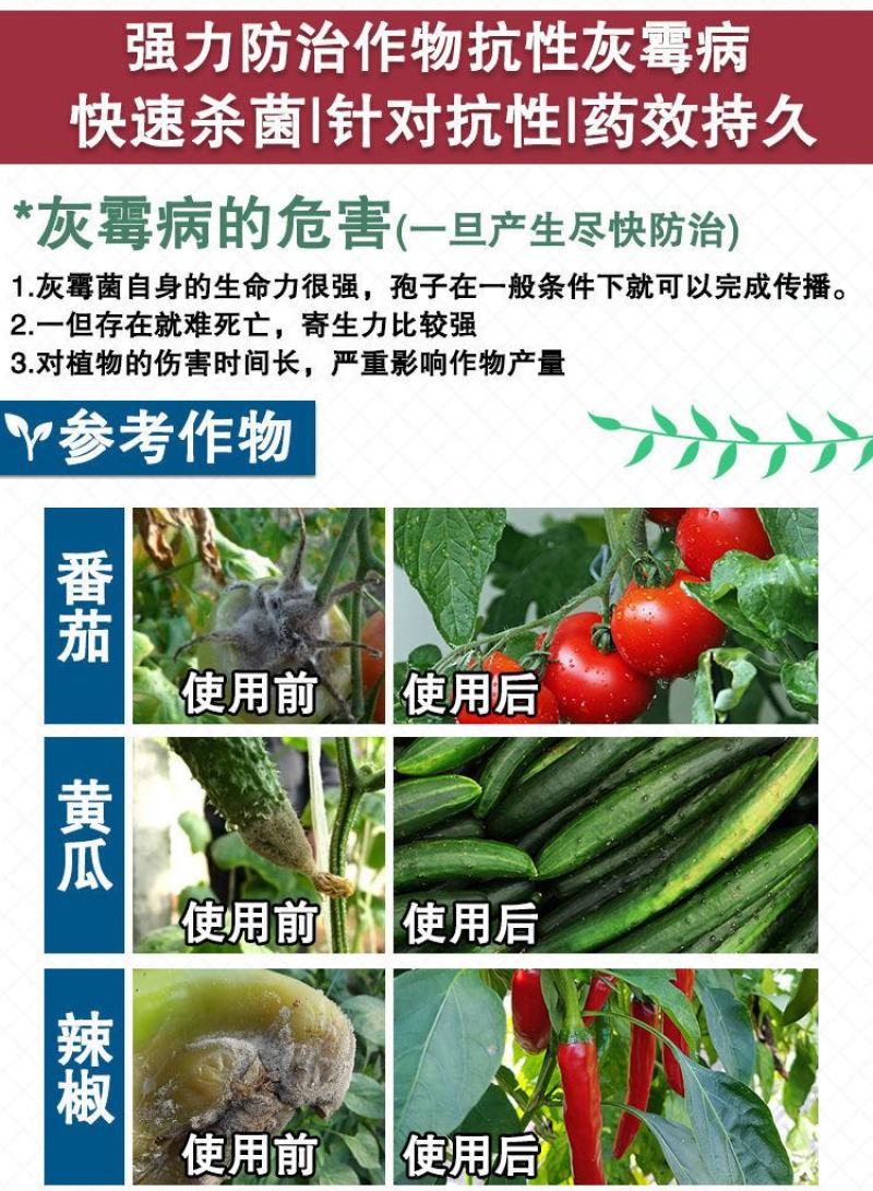 奇局乙霉威苯菌灵杀菌剂葡萄番茄黄瓜草莓灰霉病菌核病专用