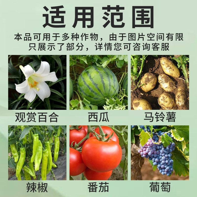 奇局乙霉威苯菌灵杀菌剂葡萄番茄黄瓜草莓灰霉病菌核病专用