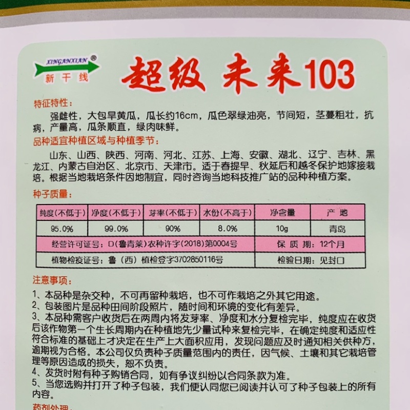 未来103黄瓜种子大苞旱黄瓜种子强雌性翠绿油亮水果黄瓜种