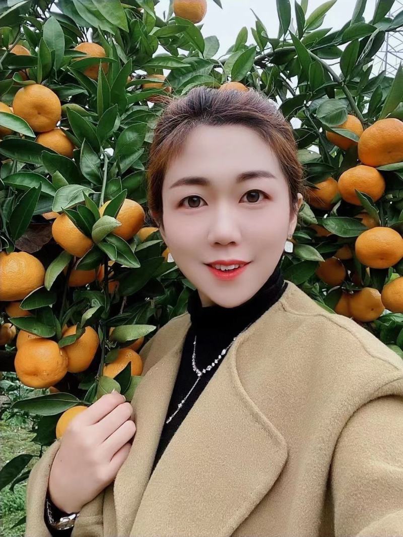 脐橙产地直销看货采摘保质保量欢迎订购
