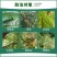 扬鸣几丁聚糖蔬菜果树花卉早晚疫病黑胫病霜霉病农药杀菌剂