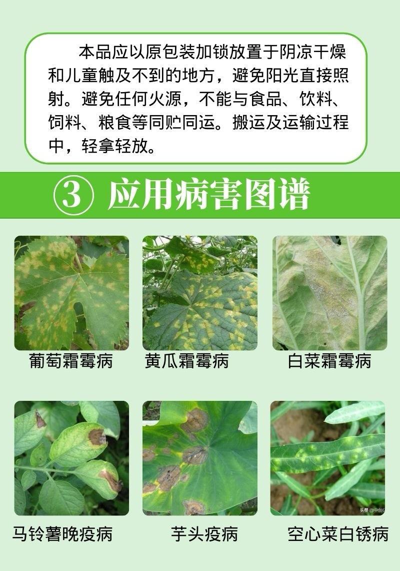 扬鸣几丁聚糖蔬菜果树花卉早晚疫病黑胫病霜霉病农药杀菌剂