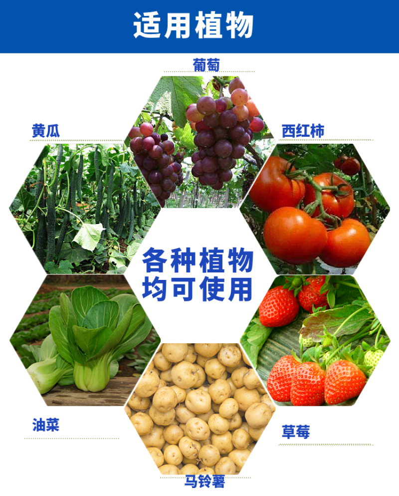 扬鸣几丁聚糖蔬菜果树花卉早晚疫病黑胫病霜霉病农药杀菌剂