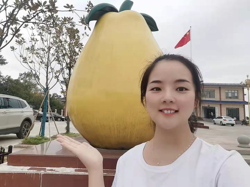 瞪蜜柚产地直销看货采摘保质保量欢迎订购