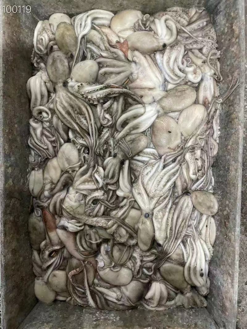 八爪鱼