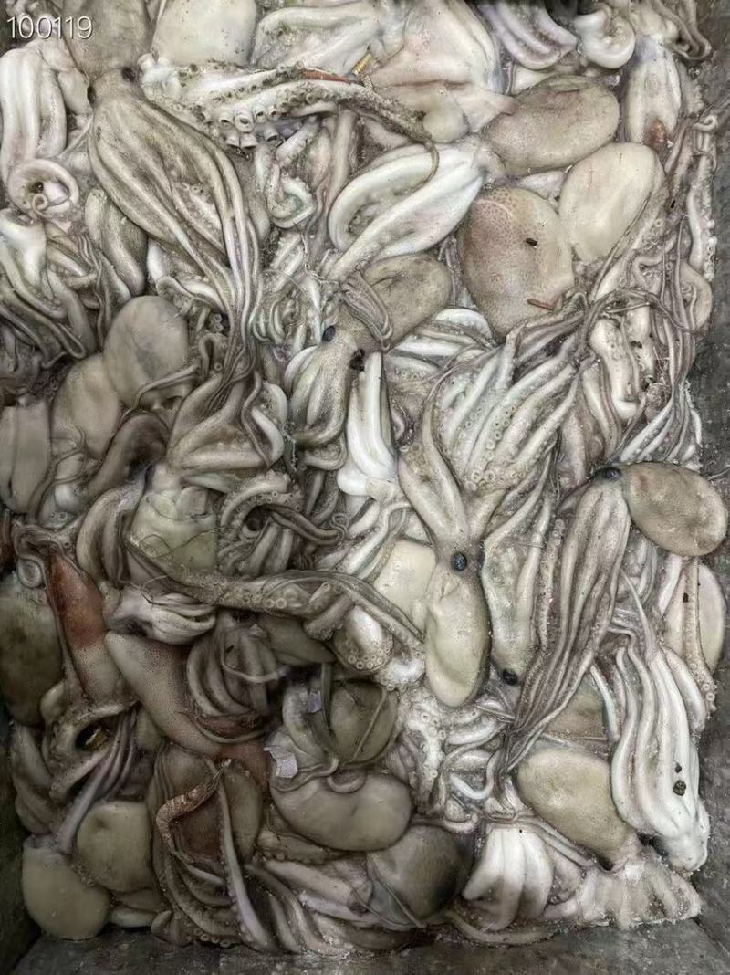 八爪鱼