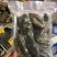 靴参米刺参佛跳墙食材，可贴牌，微商直播电商团购手办礼福利