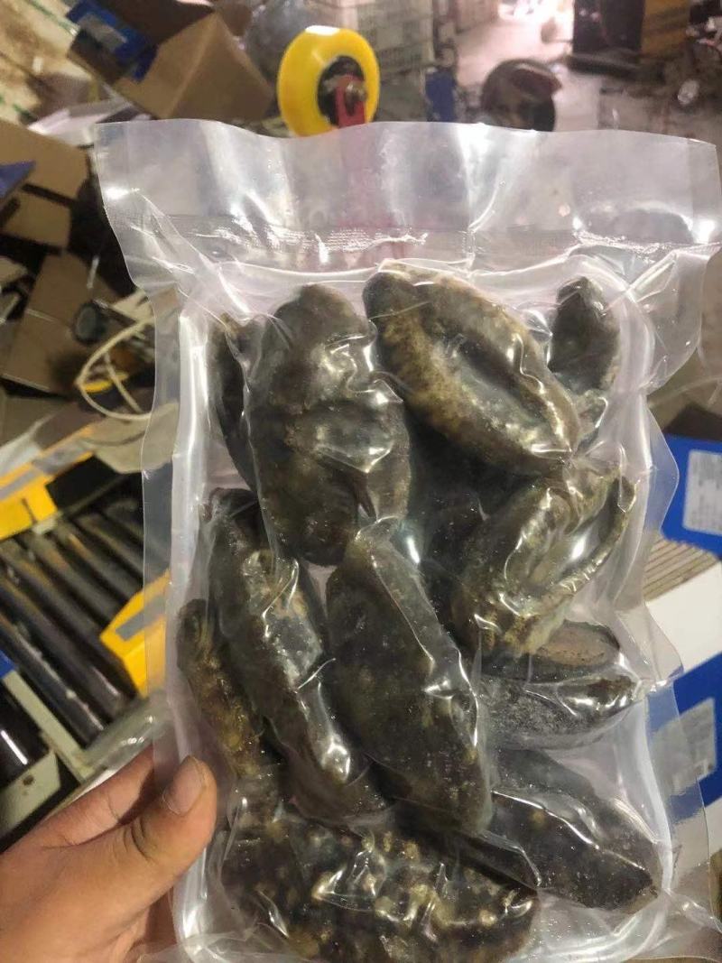靴参米刺参佛跳墙食材，可贴牌，微商直播电商团购手办礼福利