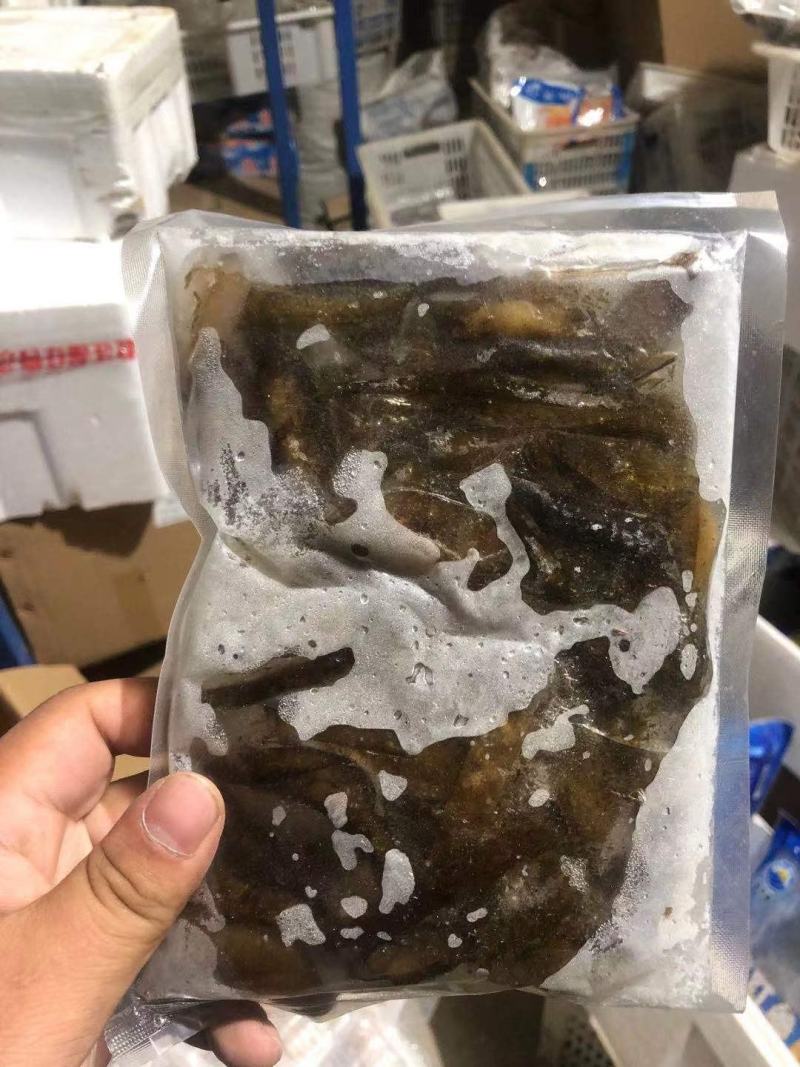 海松茸，酒店餐饮食材专用，质优价廉，260克一袋