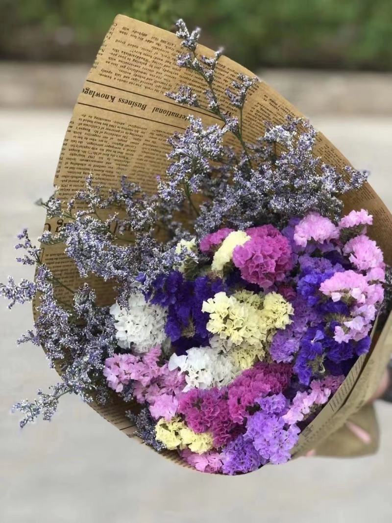 勿忘我鲜花发货可倒挂自然风干做干花存放两年