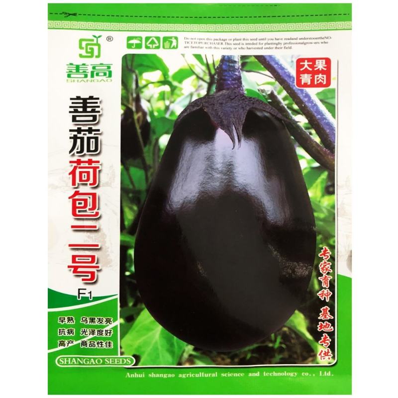 善茄荷包二号茄子种子，果色紫黑油亮，果肉浅绿色