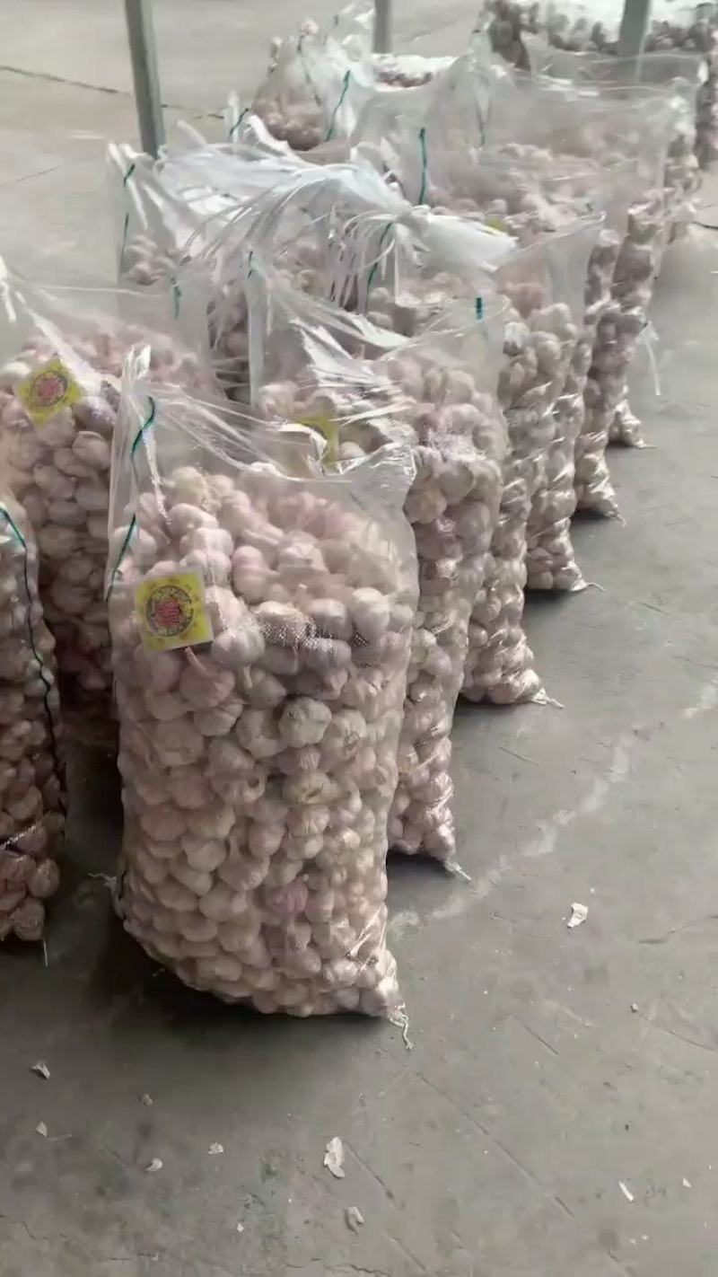 邳州大蒜，常年供应国内外市场，货源充足，