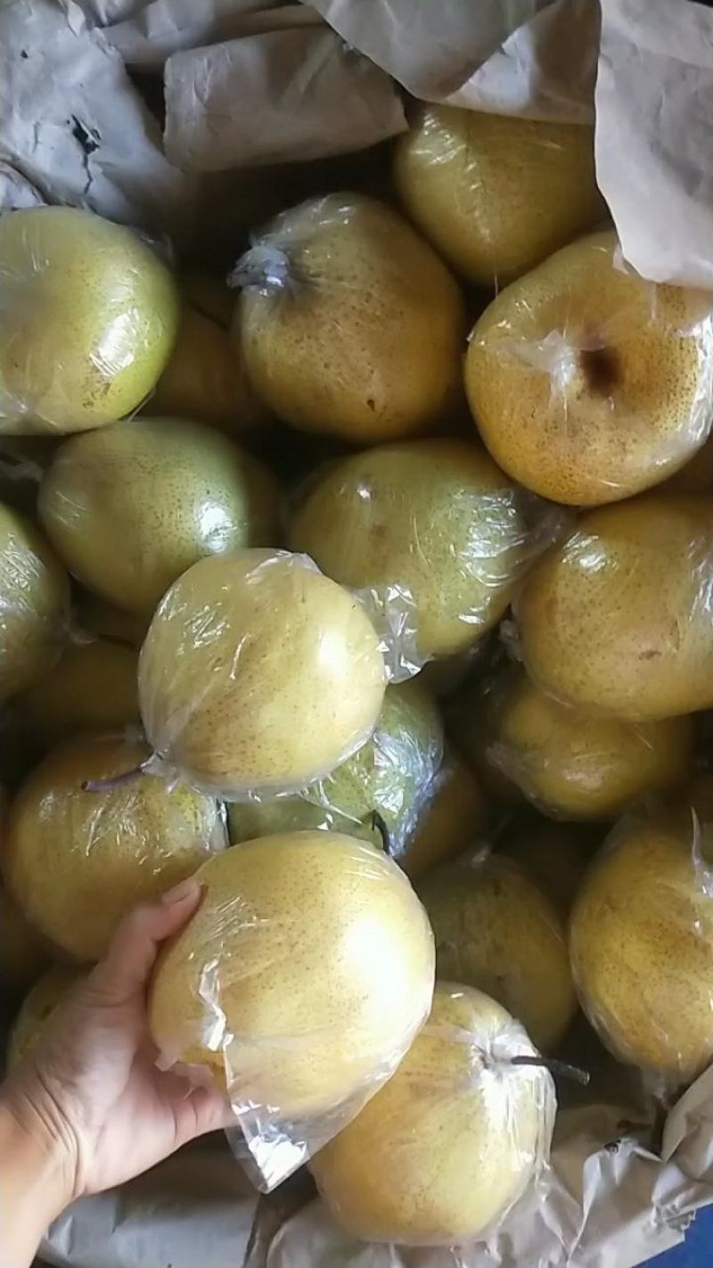 雪花梨