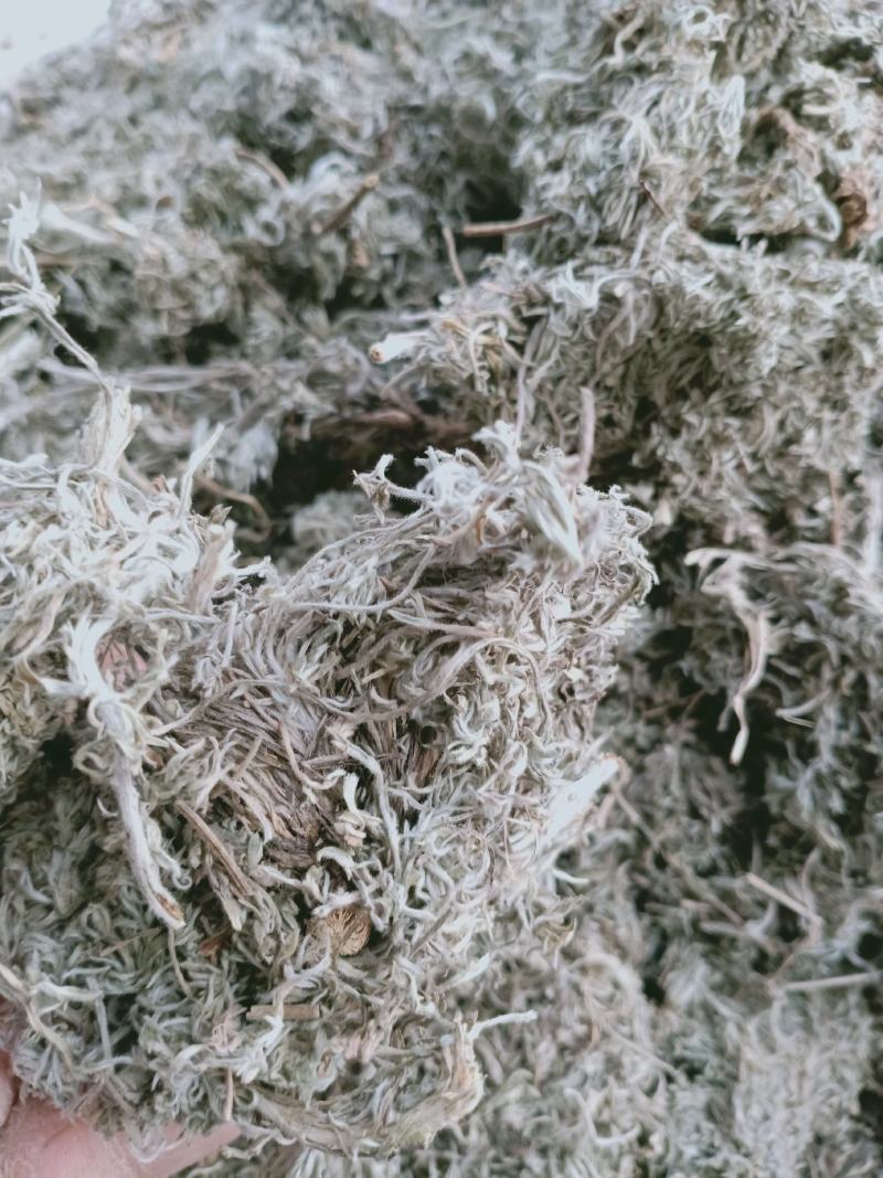 茵陈，正品绵茵陈新货质量保证经营各种中药材欢迎咨询选购！